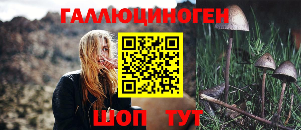 Алейск  Псилоцибиновые грибы ЛСД  Вход с VPN  Псилоцибиновые грибы прущие грибы 