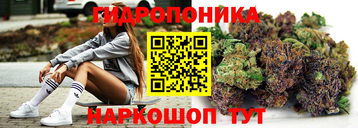 Канабис индика Алейск